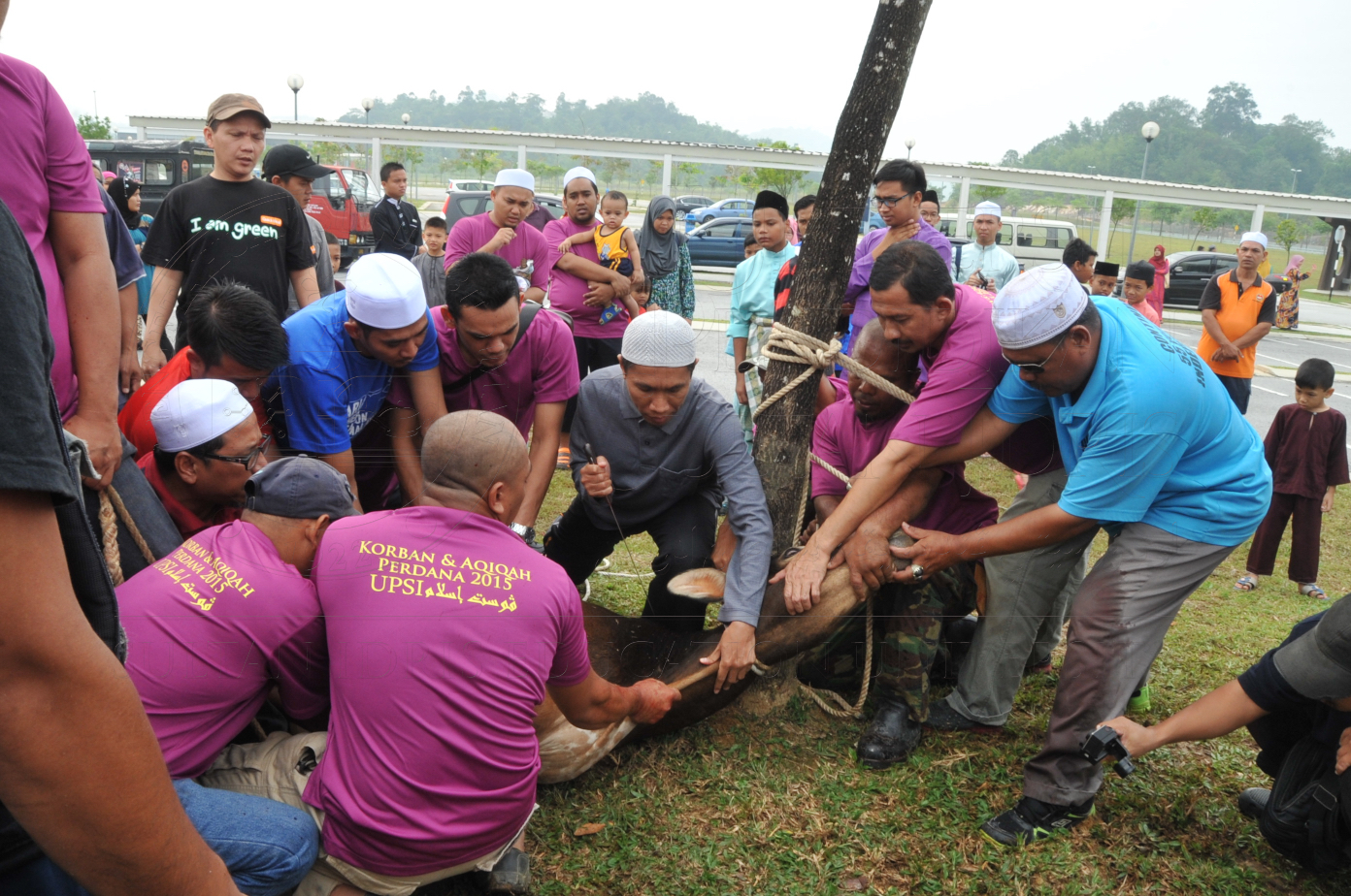 PRO15 150 KORBAN HAS 6750